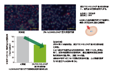 意大(dà)利香檸檬(圖2) 意大(dà)利香檸檬(圖2)