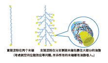 植物(wù)乳酸菌發酵米—SR(圖3)
