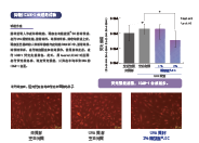 薩馥嵐®-DC(圖3) 薩馥嵐®-DC(圖3)