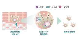 倍麗蘇®・F-QS(圖1) 倍麗蘇®・F-QS(圖1)
