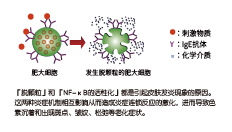 倍麗蘇®・F-QS(圖2) 倍麗蘇®・F-QS(圖2)