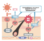 有(yǒu)機(jī)米糠水(shuǐ)解液(圖1)