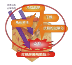 有(yǒu)機(jī)薏苡仁發酵液 (圖1)