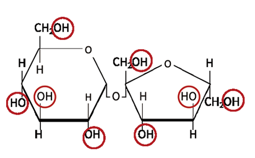 PureArt®CDC-1816(圖1)