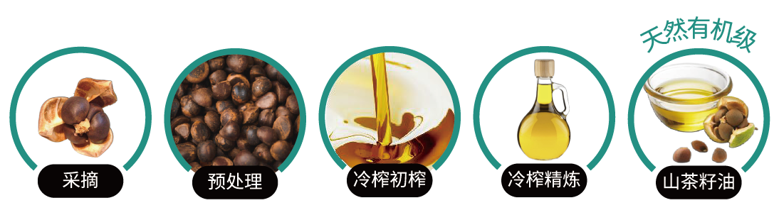 山(shān)茶籽油(圖1) 山(shān)茶籽油(圖1)