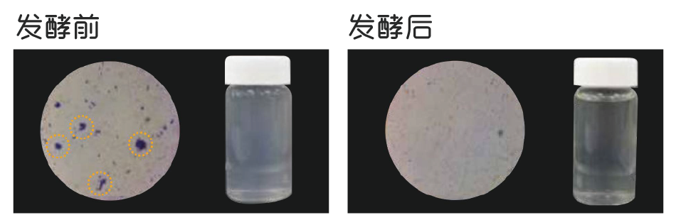 如(rú)風(fēng)米淘淘(圖1)