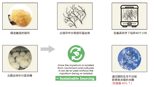 銀(yín)耳菌絲多(duō)糖(圖1)